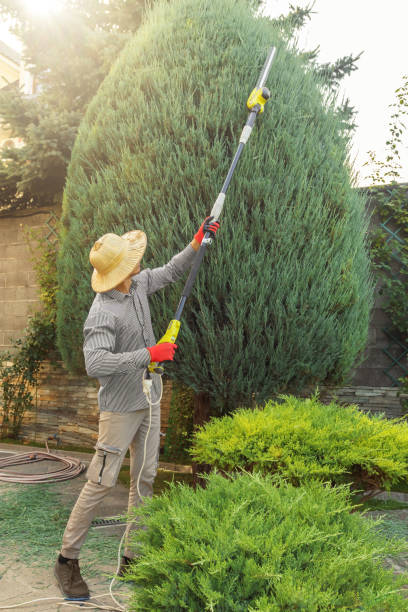 Best Lawn Pest Prevention  in Rainbow Springs, FL